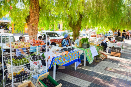 Producción y Esfuerzo Local en la Feria “Cosechando lo Nuestro” 