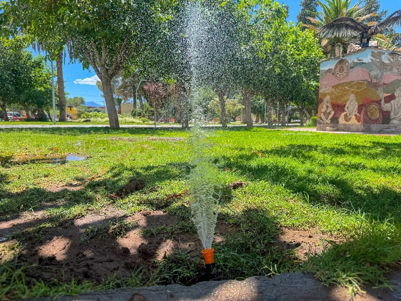 Remplazaron aspersores para optimizar el sistema de riego en Plaza Principal