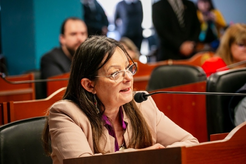 Zona Franca: Ponferrada anticipó cómo será el tratamiento del proyecto en Diputados