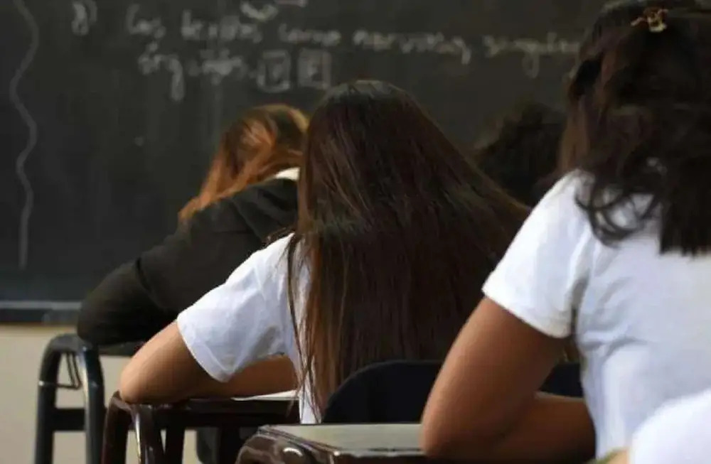 Solo 19 de 100 estudiantes llegan a los 15 años sin haber repetido y con saberes básicos
